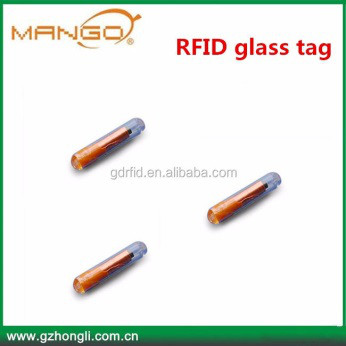 injectable glass tag