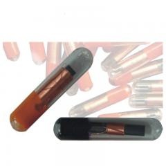 علامة الزجاج رقاقة الحيوان