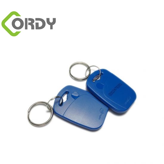 Customized RFID Keyfob